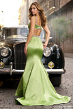 SHERRI HILL 56699